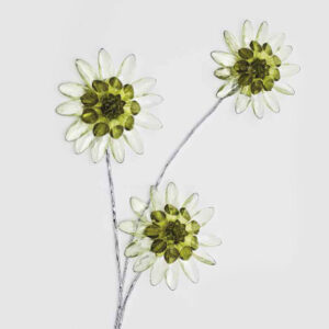 Fiore Girasole olive - 70/90 cm - metallo, acrilico.
